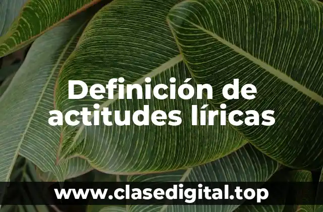 Definición de actitudes líricas