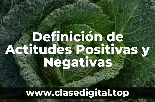 Definición Técnica de Actitudes Positivas y Negativas
