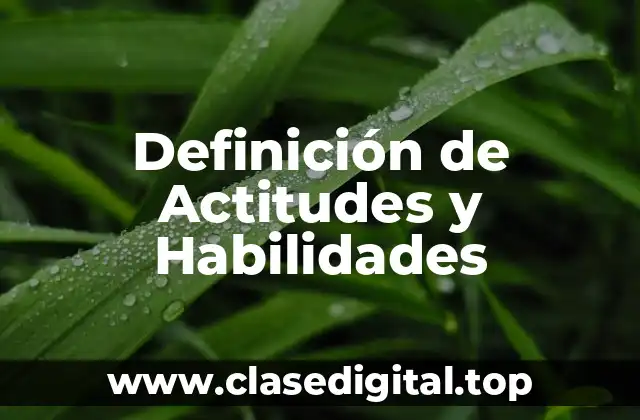 Definición de Actitudes y Habilidades