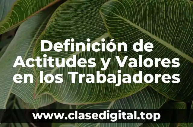 Definición de Actitudes y Valores en los Trabajadores