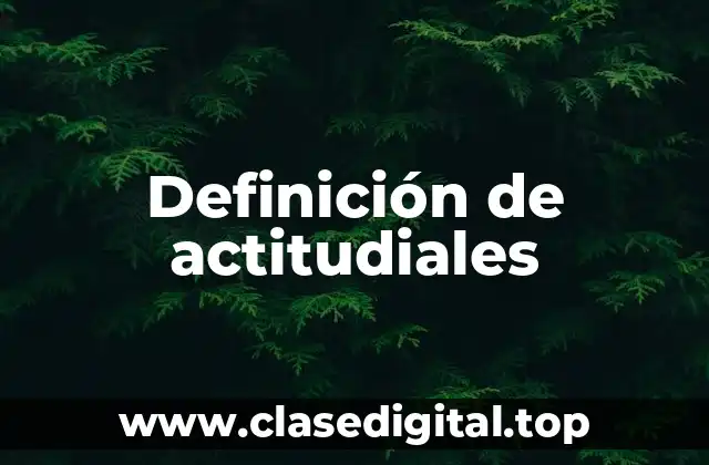 Definición de actitudiales