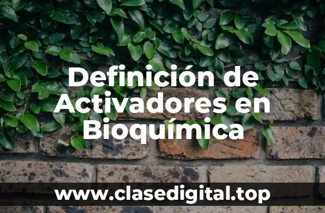 Definición de Activadores en Bioquímica
