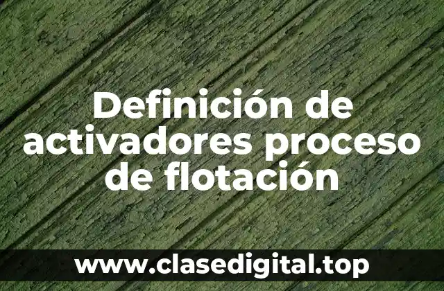 Definición de activadores proceso de flotación