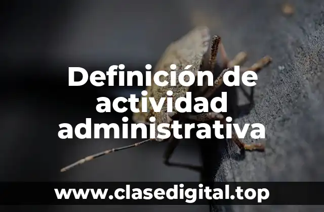 Definición técnica de actividad administrativa