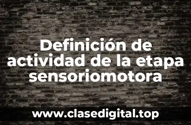 Definición de actividad de la etapa sensoriomotora