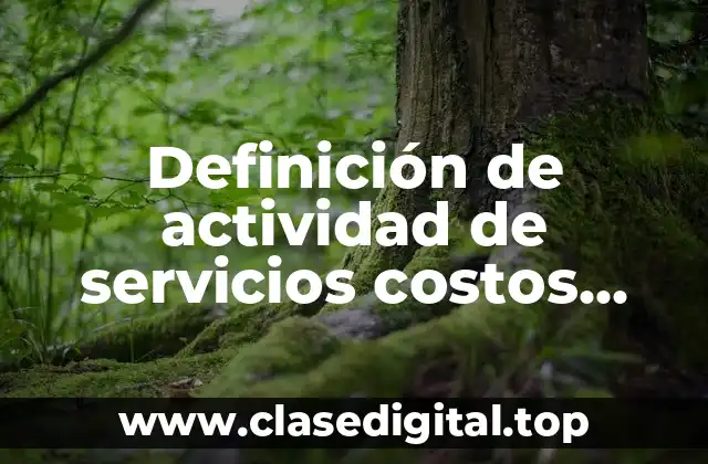 Definición de actividad de servicios costos historicos