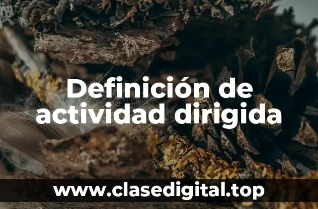 Definición de actividad dirigida