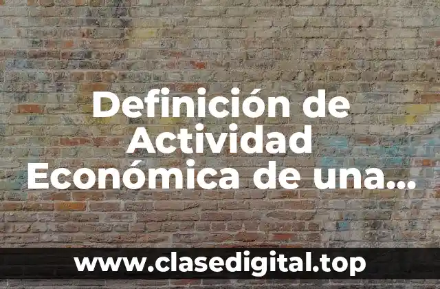 Definición de Actividad Económica de una Empresa