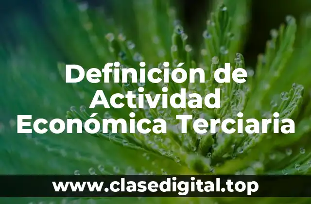 Definición de Actividad Económica Terciaria