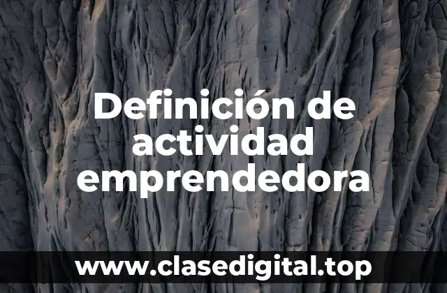 Definición de actividad emprendedora