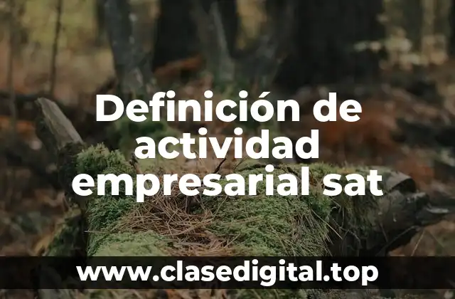 Definición de actividad empresarial sat