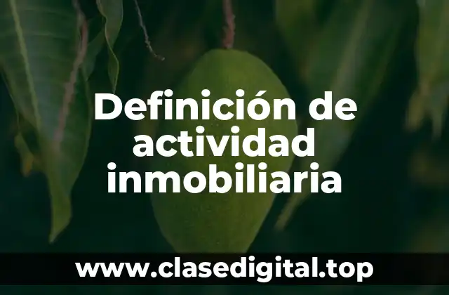 Definición de actividad inmobiliaria