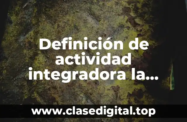 Definición de actividad integradora la diversidad