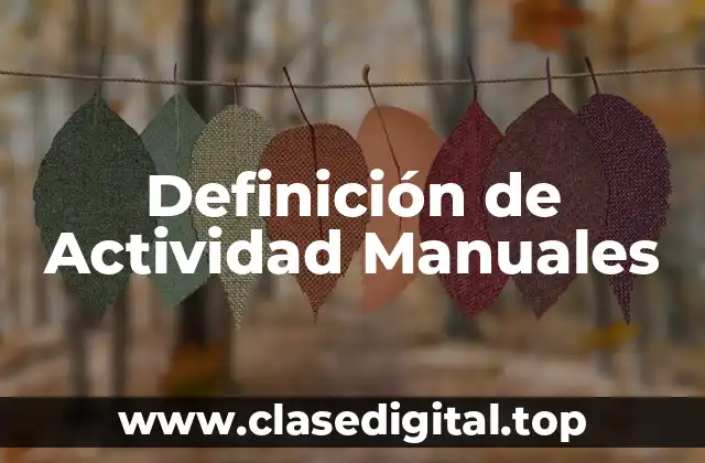Definición de Actividad Manuales