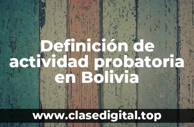 Definición de actividad probatoria en Bolivia