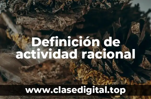 Ejemplos de actividad racional