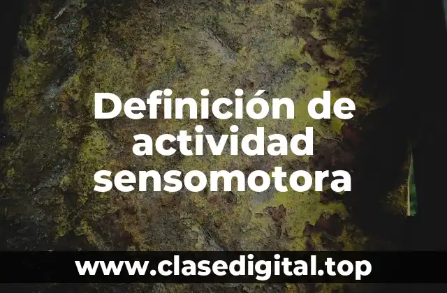 Definición de actividad sensomotora