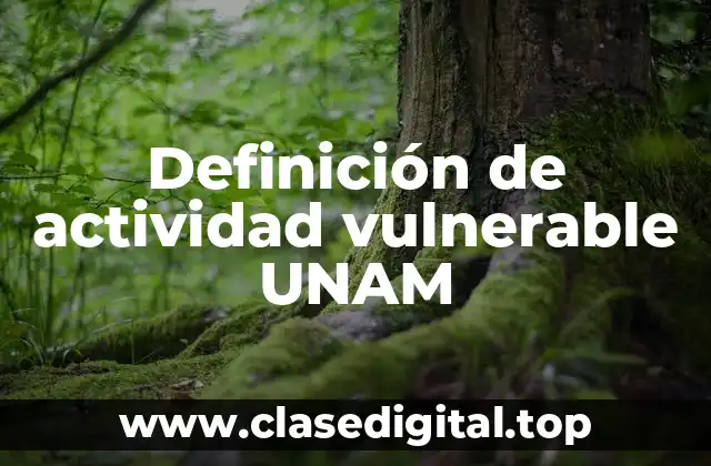 Definición de actividad vulnerable UNAM