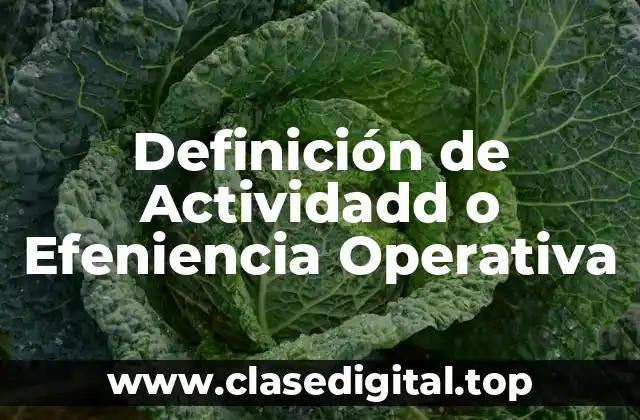 Ejemplos de Actividadd o Efeniencia Operativa