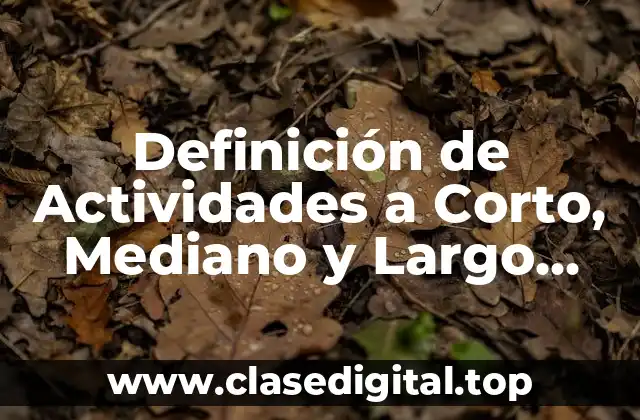 Definición de Actividades a Corto, Mediano y Largo Plazo