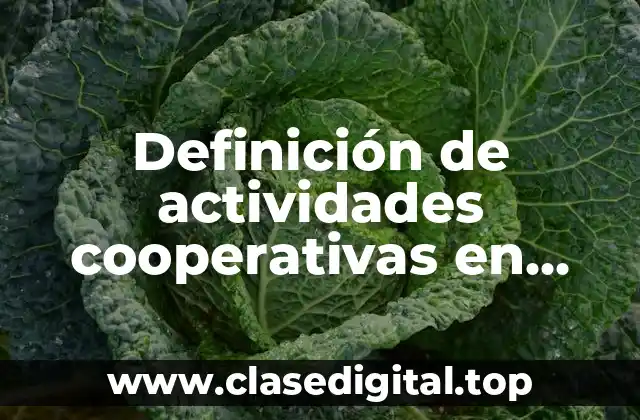 Definición de actividades cooperativas en educación infantil