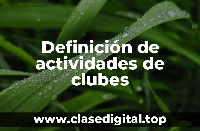 Ejemplos de actividades de clubes