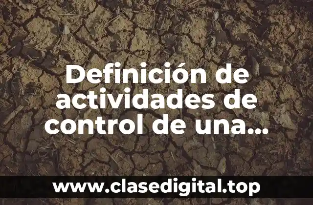 Ejemplos de actividades de control de una empresa