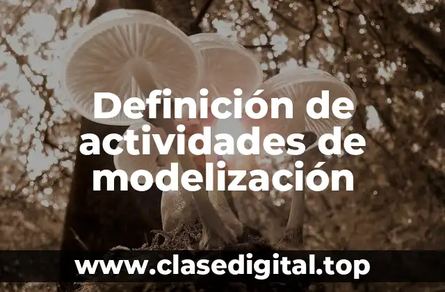 Definición de actividades de modelización