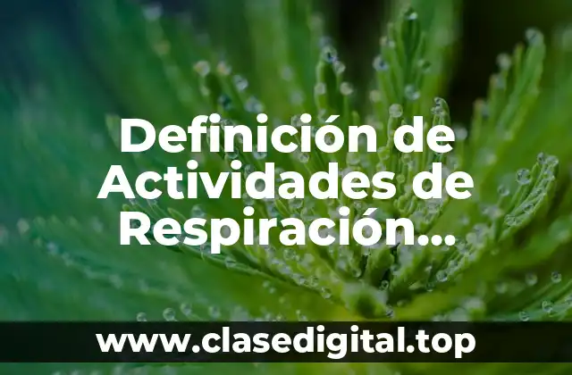 Definición de Actividades de Respiración Anaeróbica