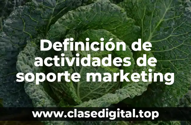 Definición de actividades de soporte marketing