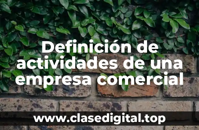 Definición de actividades de una empresa comercial
