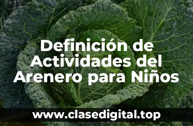 Definición de Actividades del Arenero para Niños