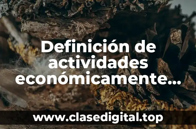 Definición de actividades económicamente insignificantes