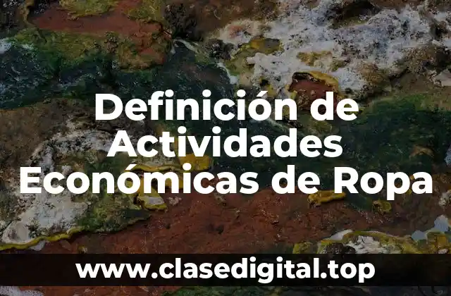 Definición de Actividades Económicas de Ropa