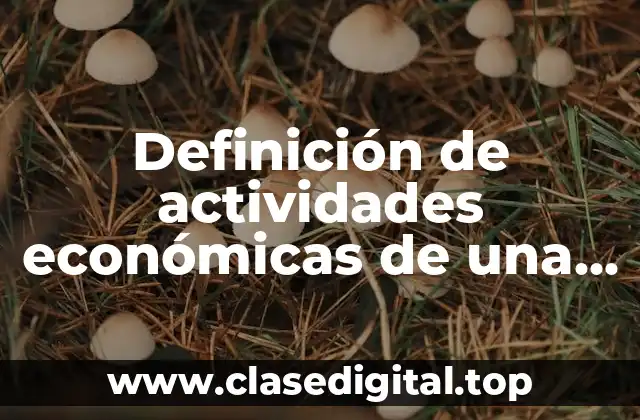 Definición de actividades económicas de una nación