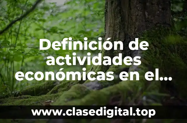Definición de actividades económicas en el medio rural