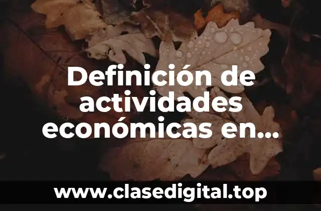 Definición de actividades económicas en México