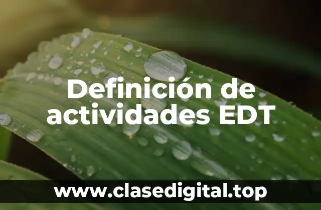 Definición de actividades EDT