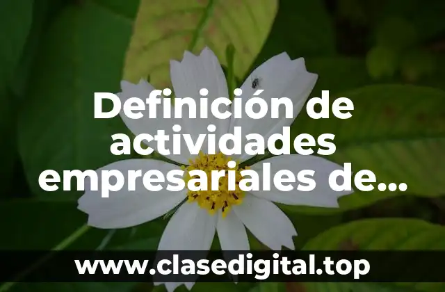 Definición de actividades empresariales de algún código