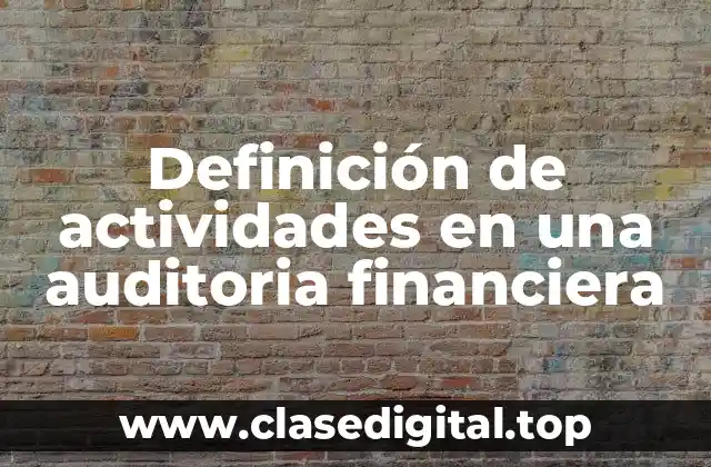 Definición de actividades en una auditoria financiera