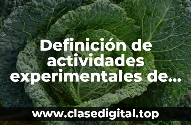 Definición de actividades experimentales de ciencias