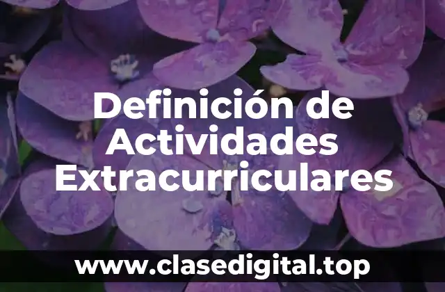 Definición técnica de Actividades Extracurriculares