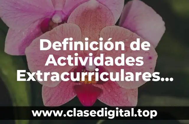 Definición Técnica de Actividades Extracurriculares UAS