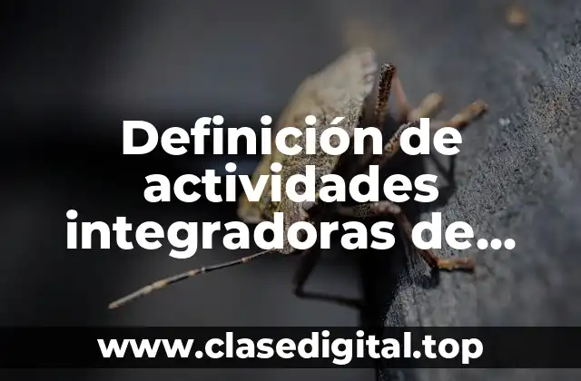 Definición de actividades integradoras de matemática