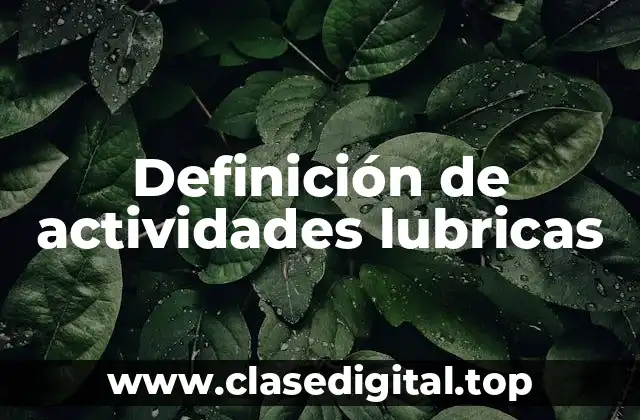 Definición de actividades lubricas