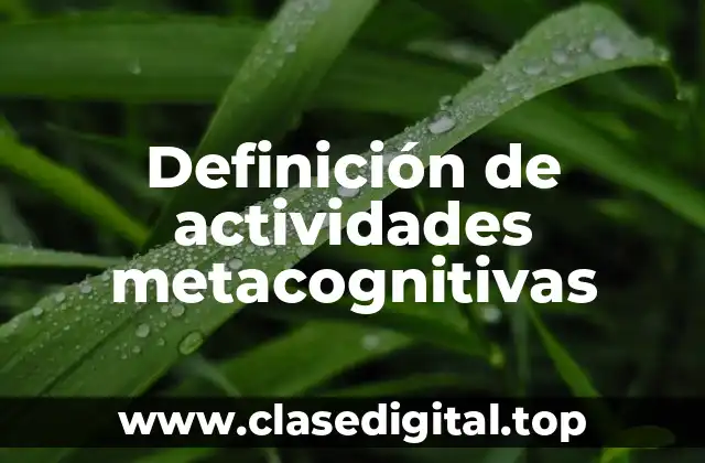 Definición de actividades metacognitivas