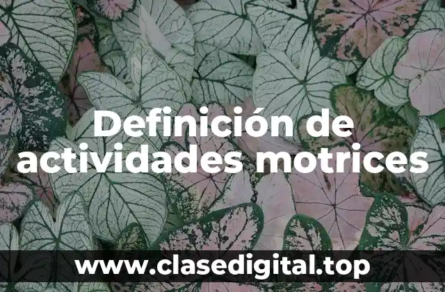 Definición técnica de actividades motrices
