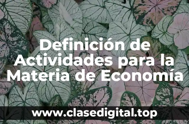 Definición de Actividades para la Materia de Economía
