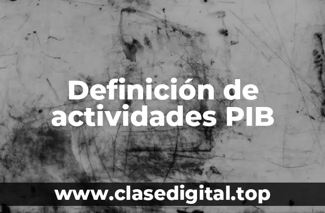 Definición de actividades PIB
