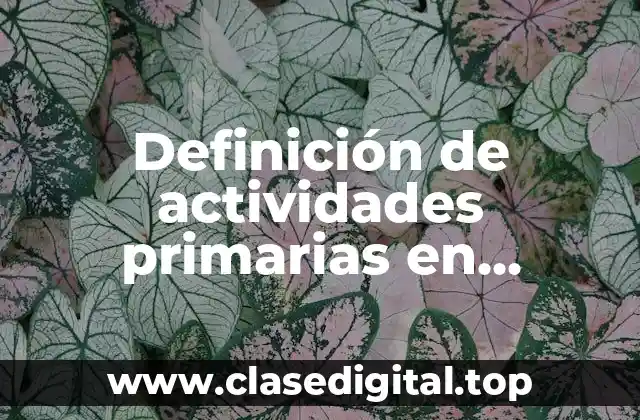 Definición de actividades primarias en agricultura en sus etapas